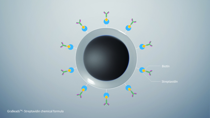 GraBeads Streptavidin (Hydrophobic)