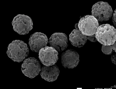 GraBeads SEM 50,000X