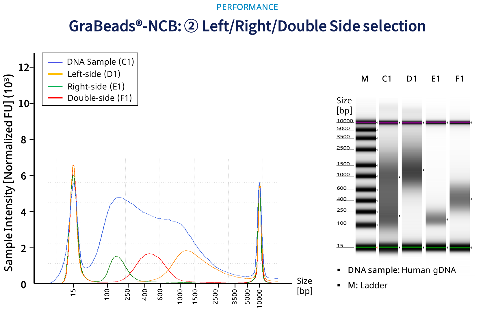 Left/Right/Double Side Selection