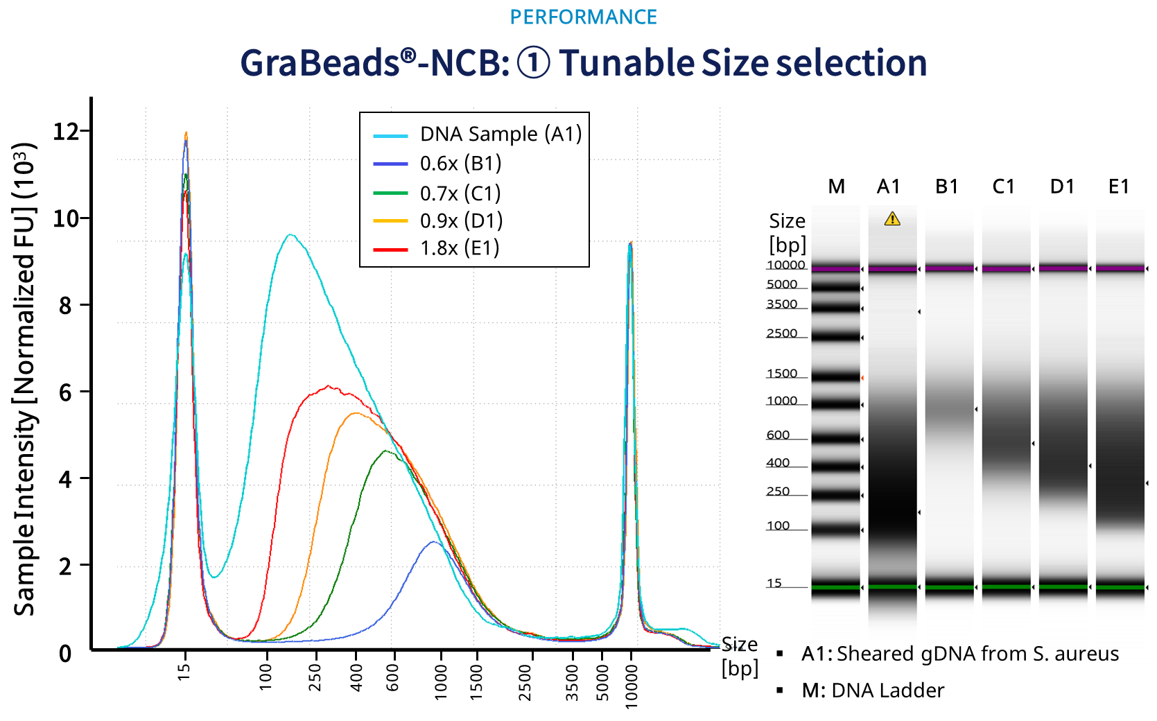 Tunable Size Selection